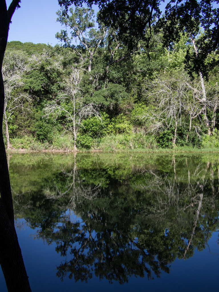 Reflections