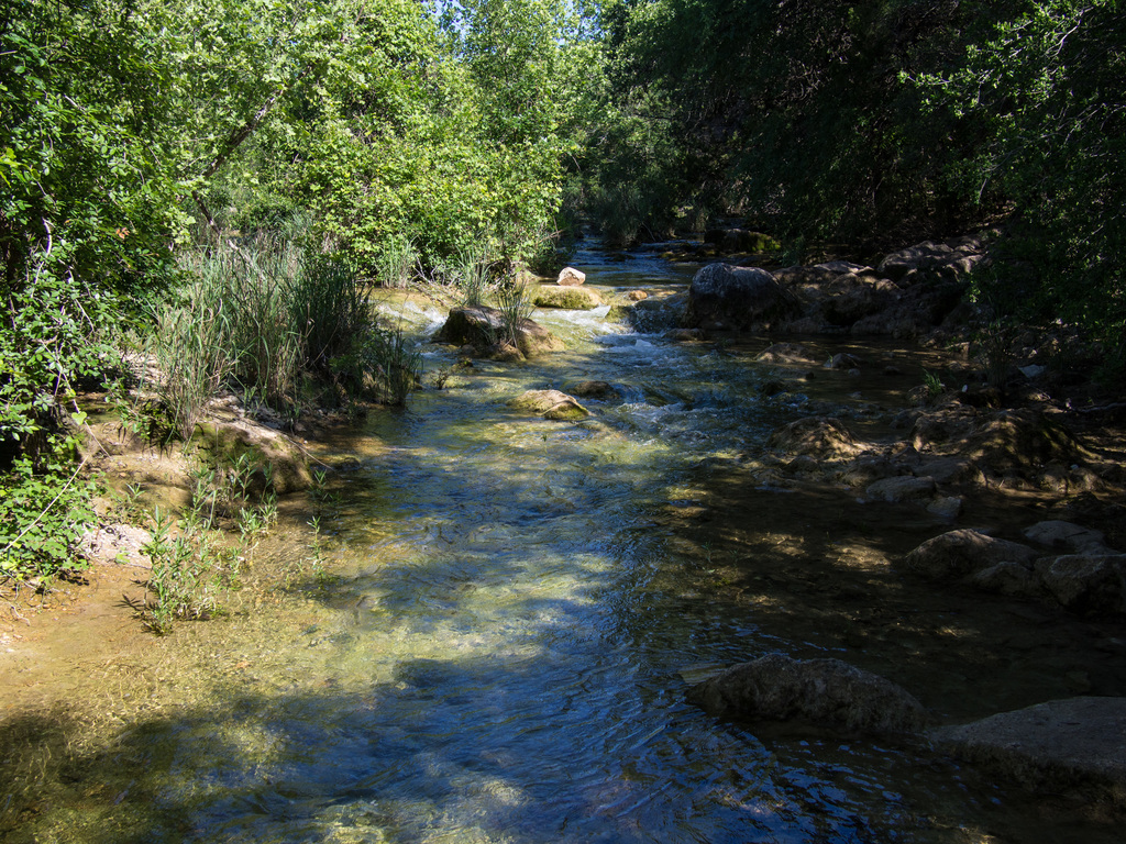 Barton Creek