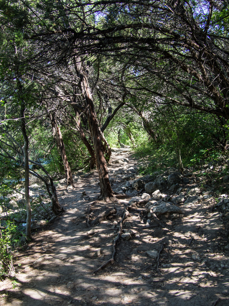 Barton Creek Greenbelt Trail