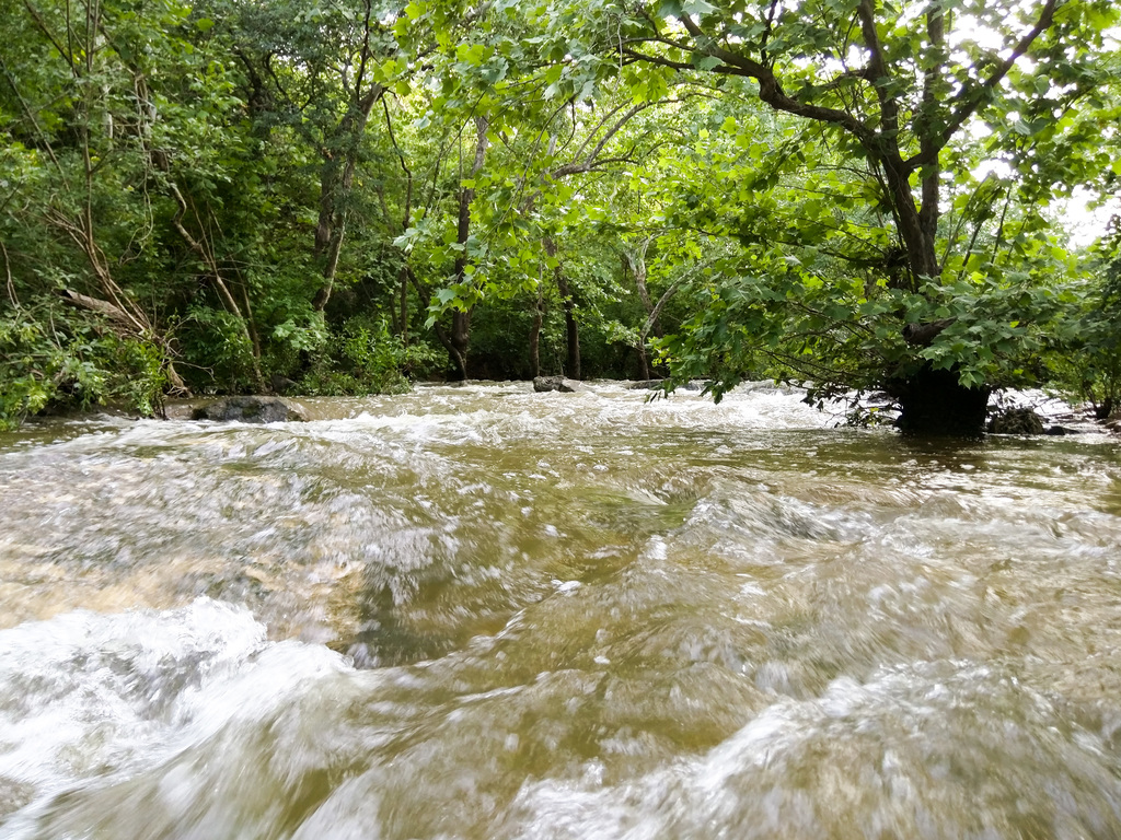Barton Creek