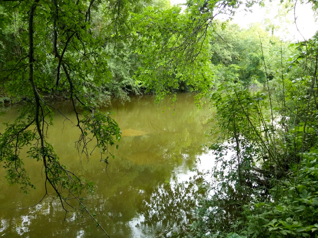 Barton Creek