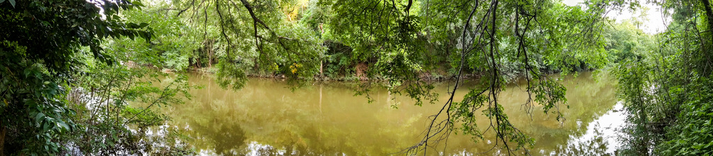 Barton Creek