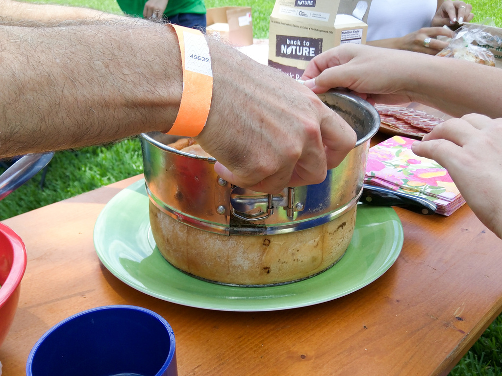 Picnic in the Park