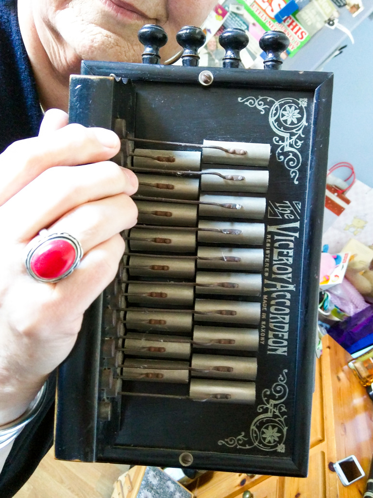 The Viceroy Accordeon