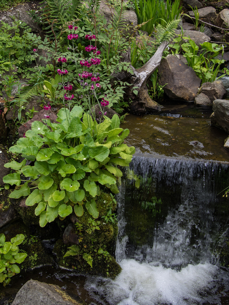 Royal Botanic Garden
