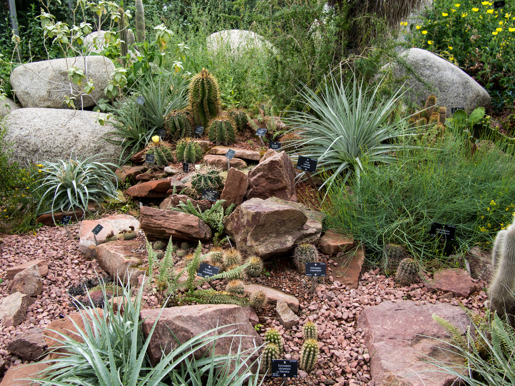 Royal Botanic Garden