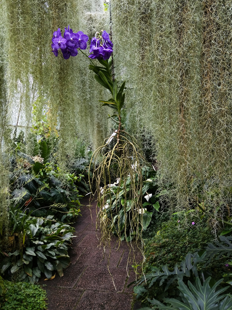Royal Botanic Garden
