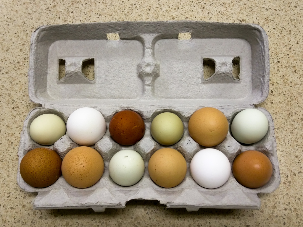 Eggs