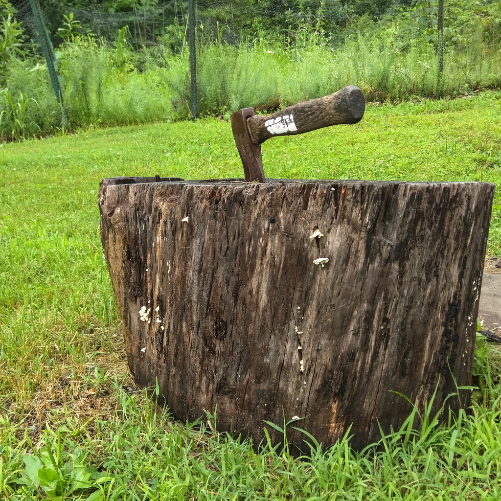 Hatchet