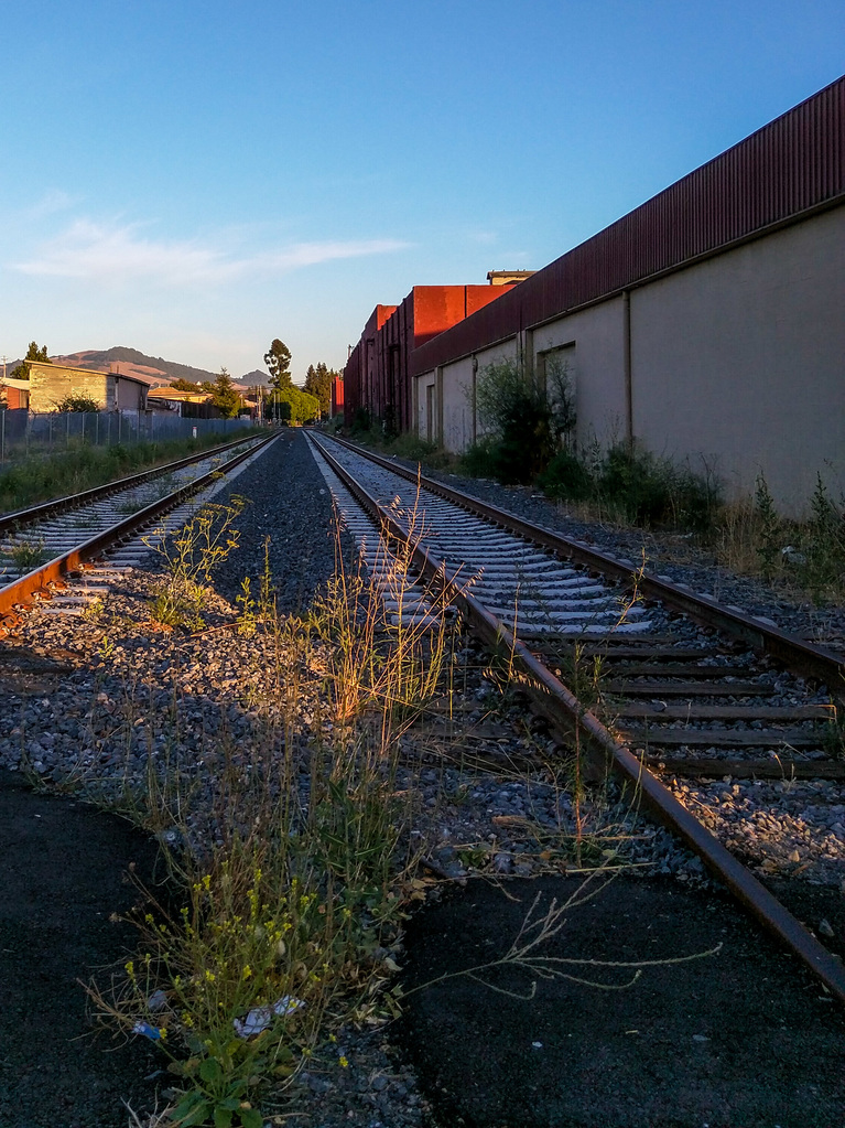 Tracks