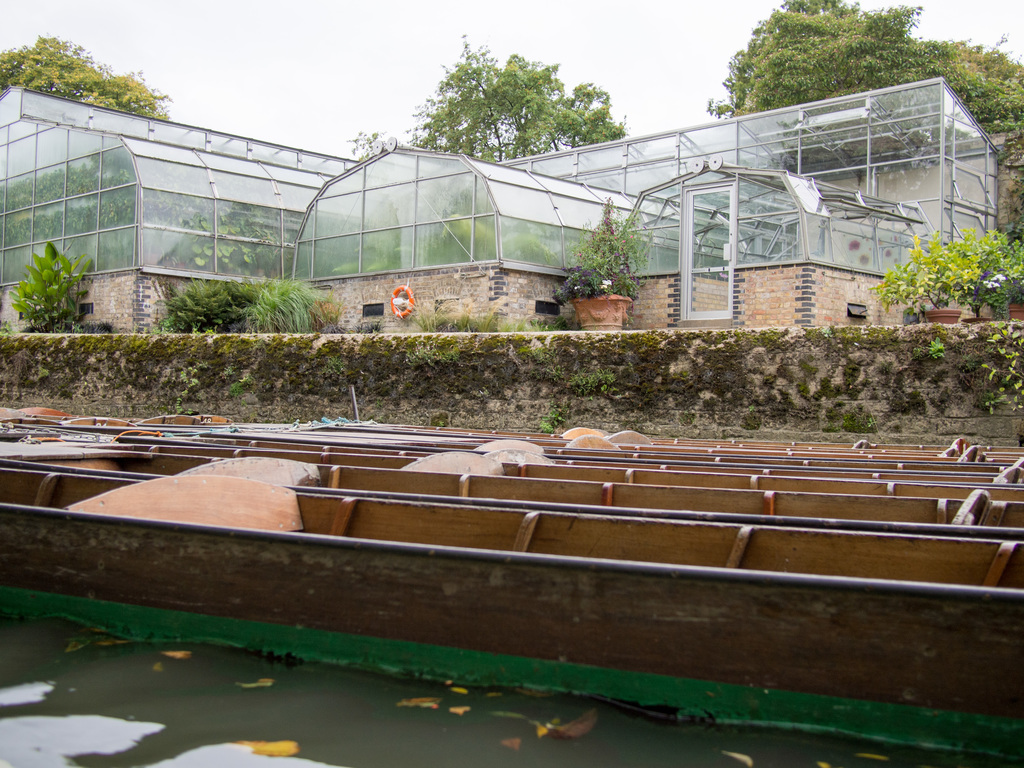 Punting