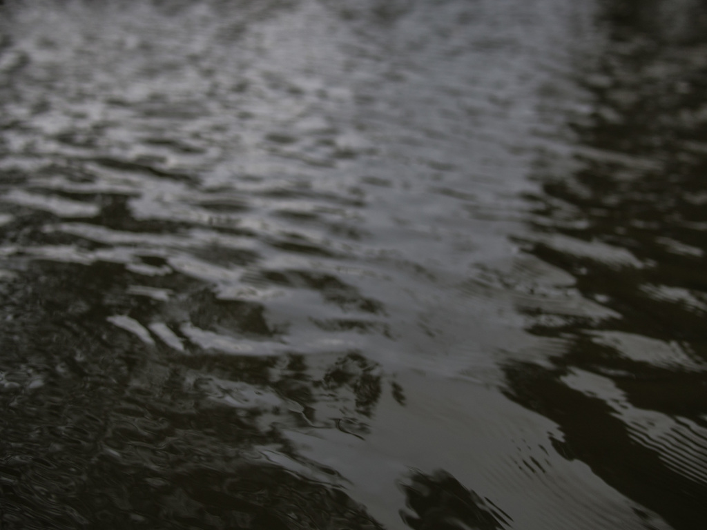 Punting