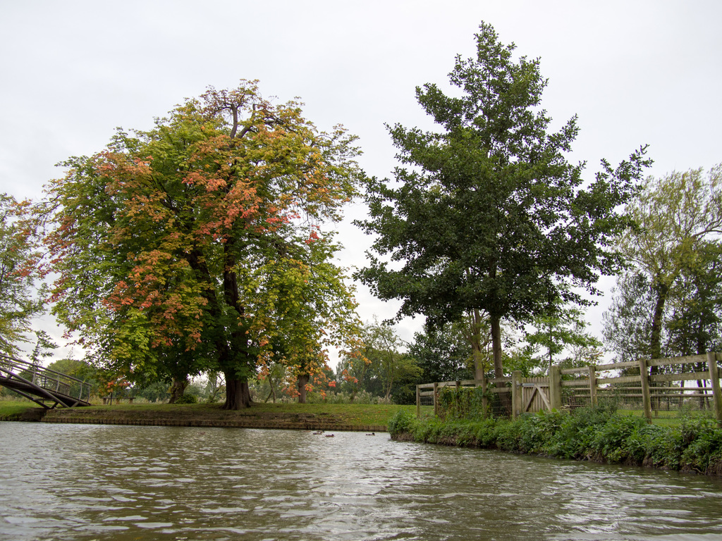 Punting