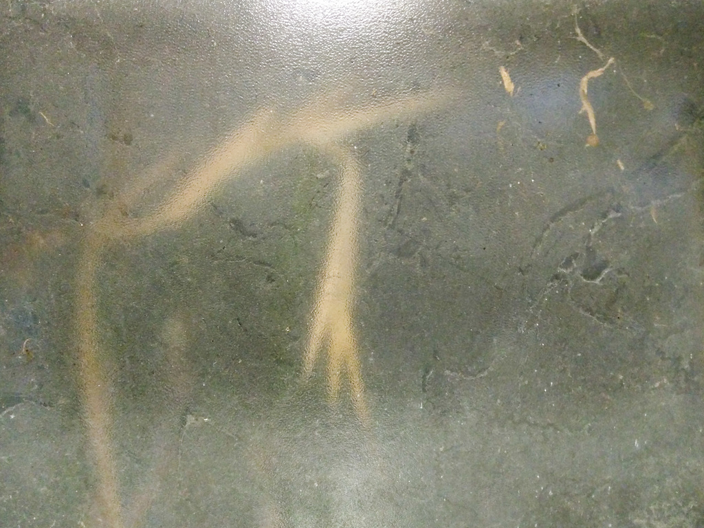 What waits behind the window?