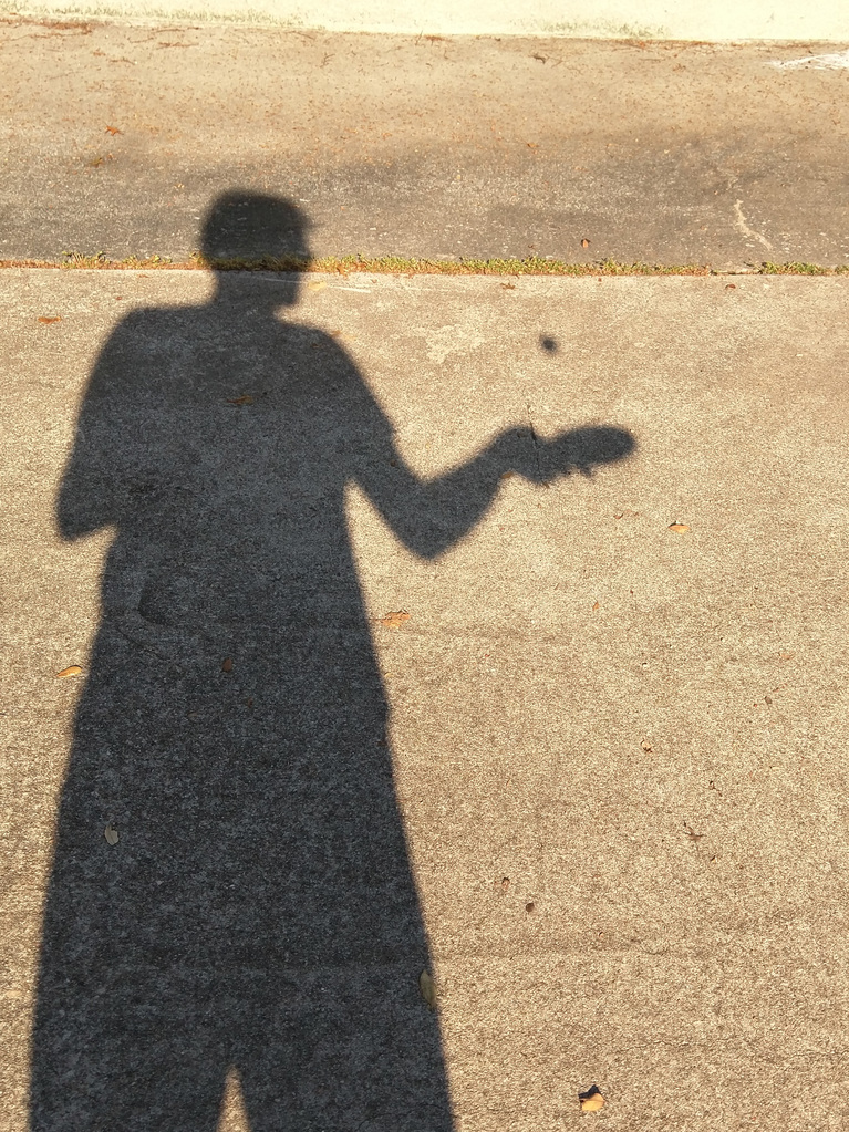 Silhouette