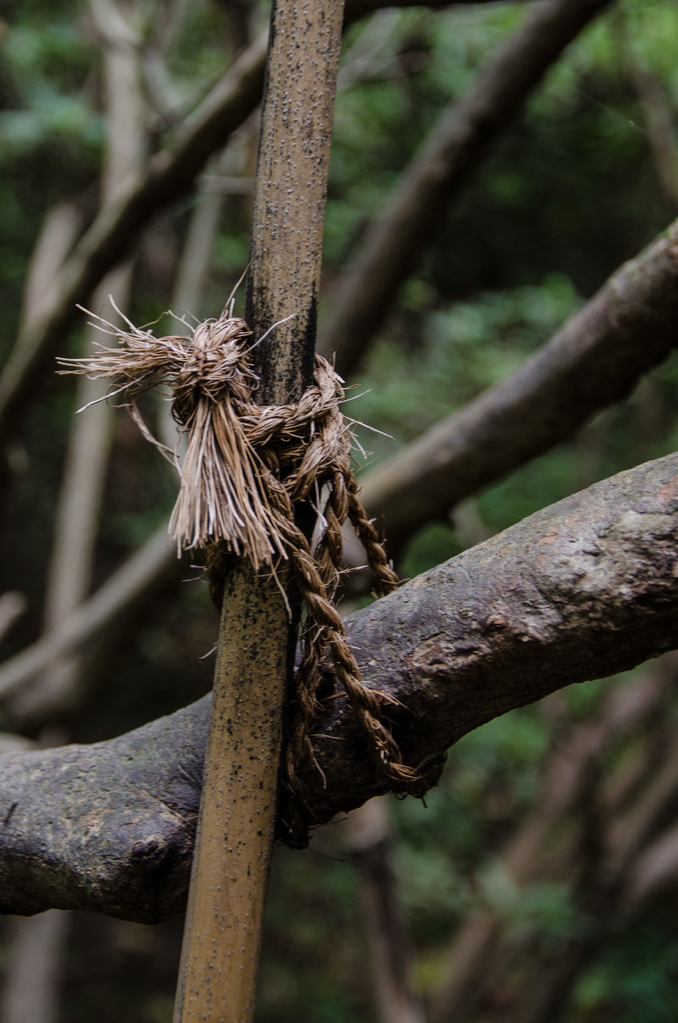 Rope