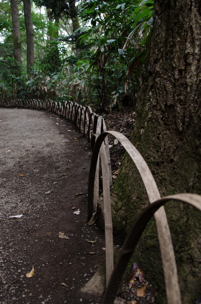 Path