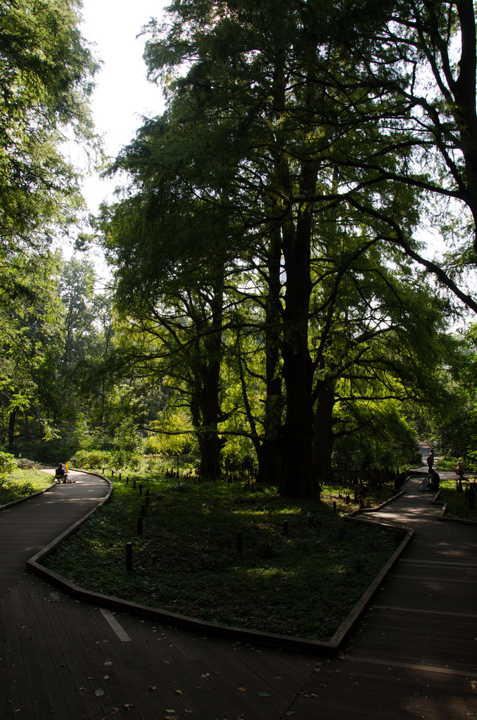 Shinjuku Gyoen National Garden