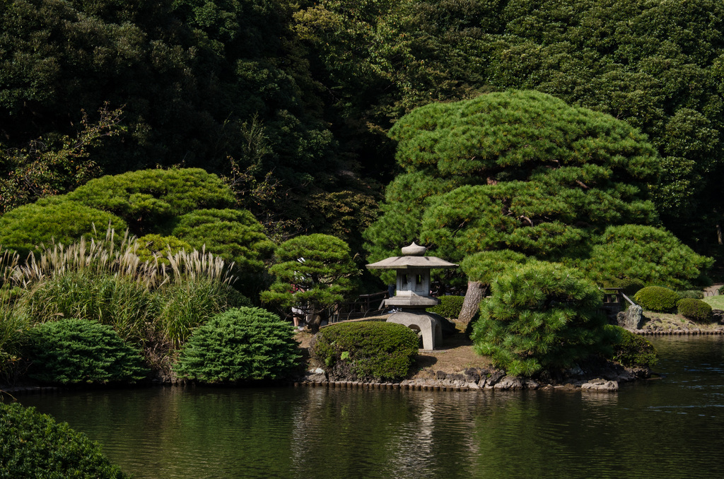 Shinjuku Gyoen National Garden