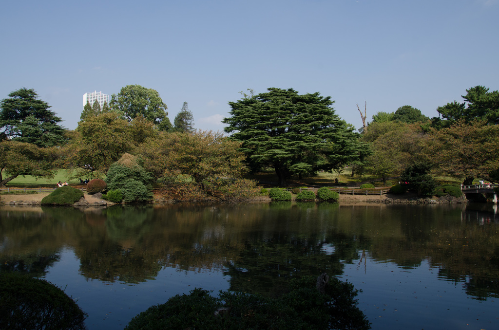Shinjuku Gyoen National Garden