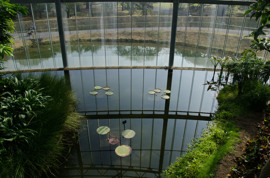 Indoor pond