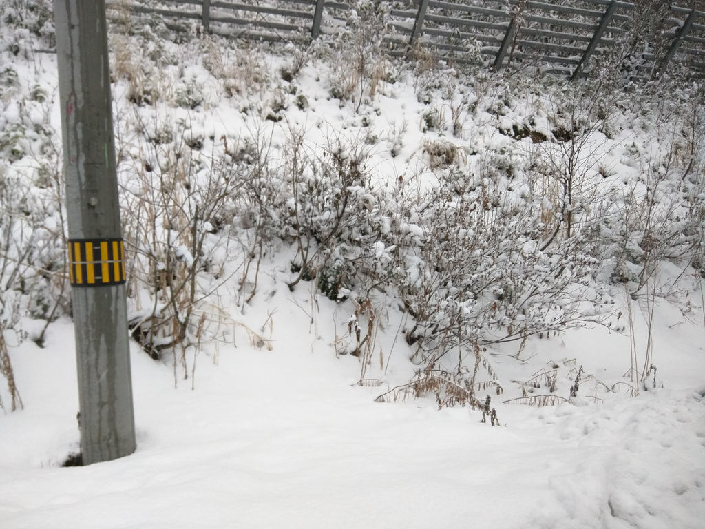 Snow!