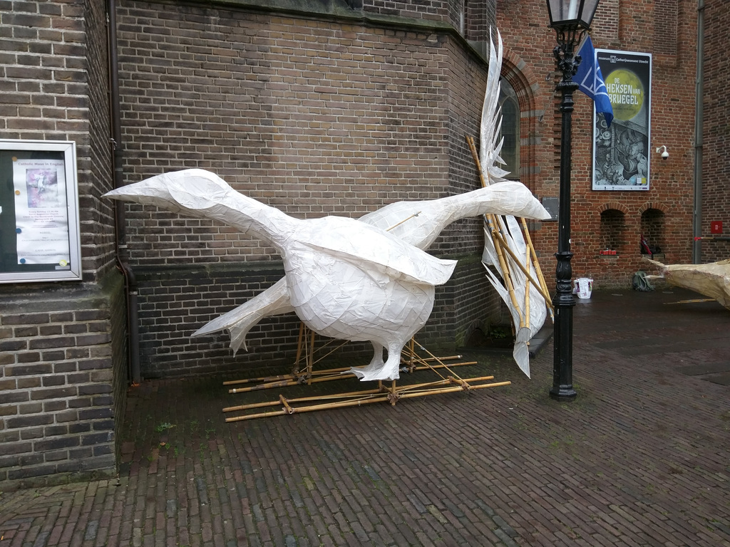Geese