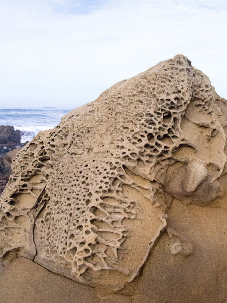 Pacific coast