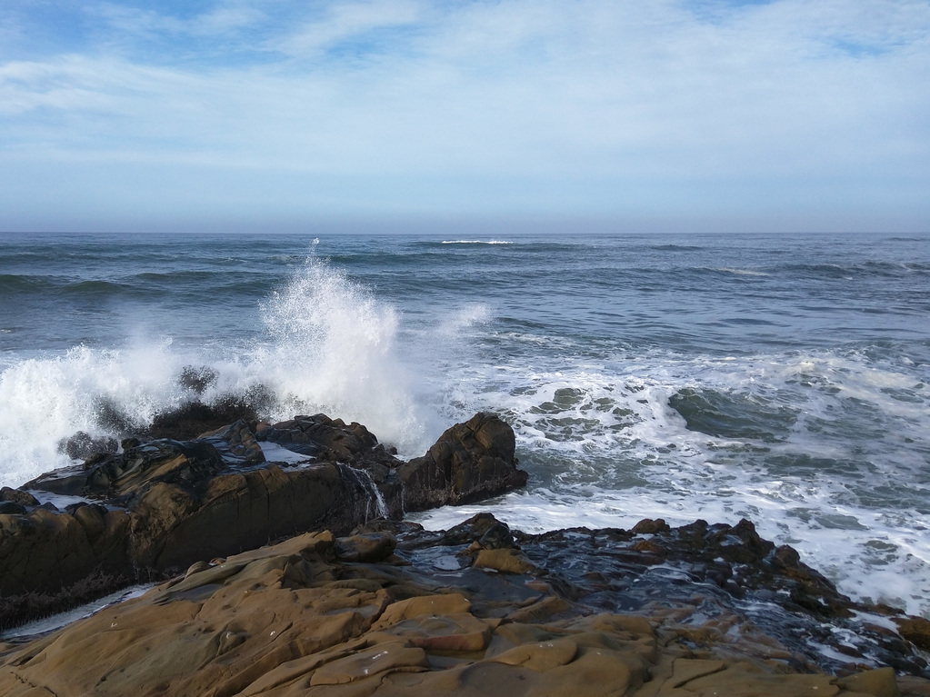 Pacific coast