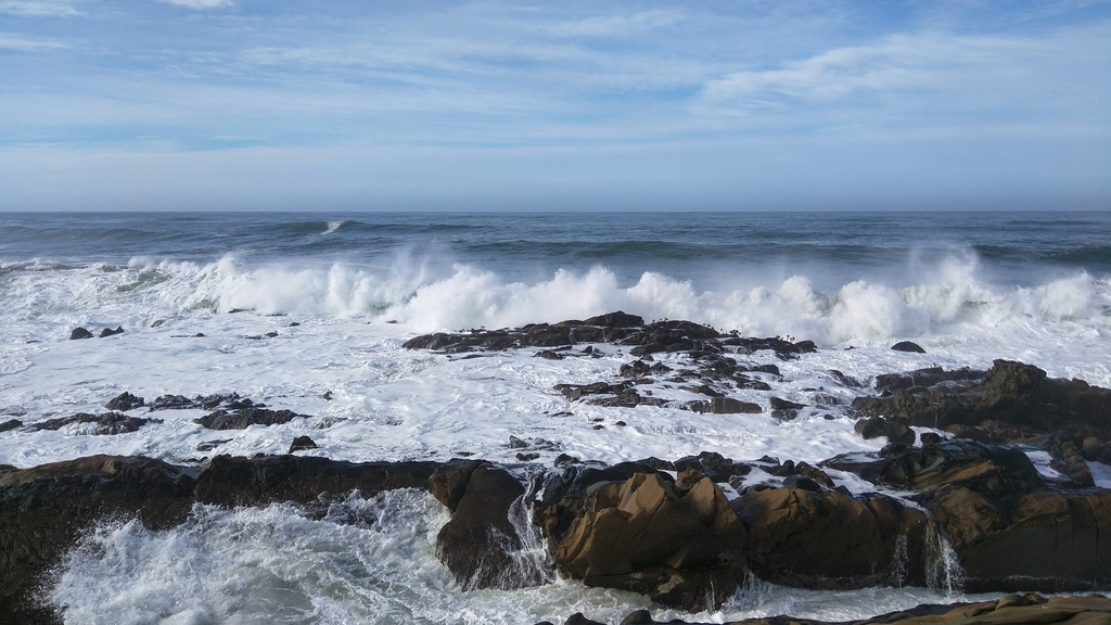 Pacific coast