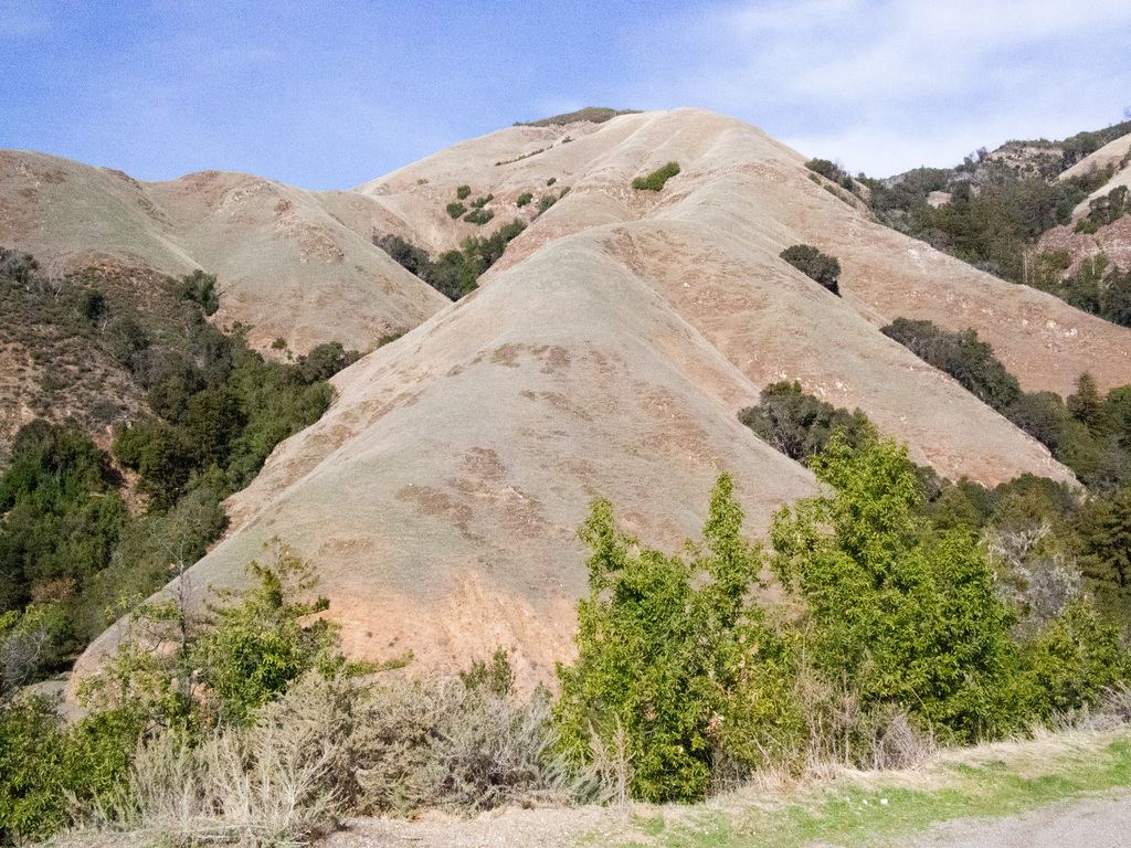 California hills