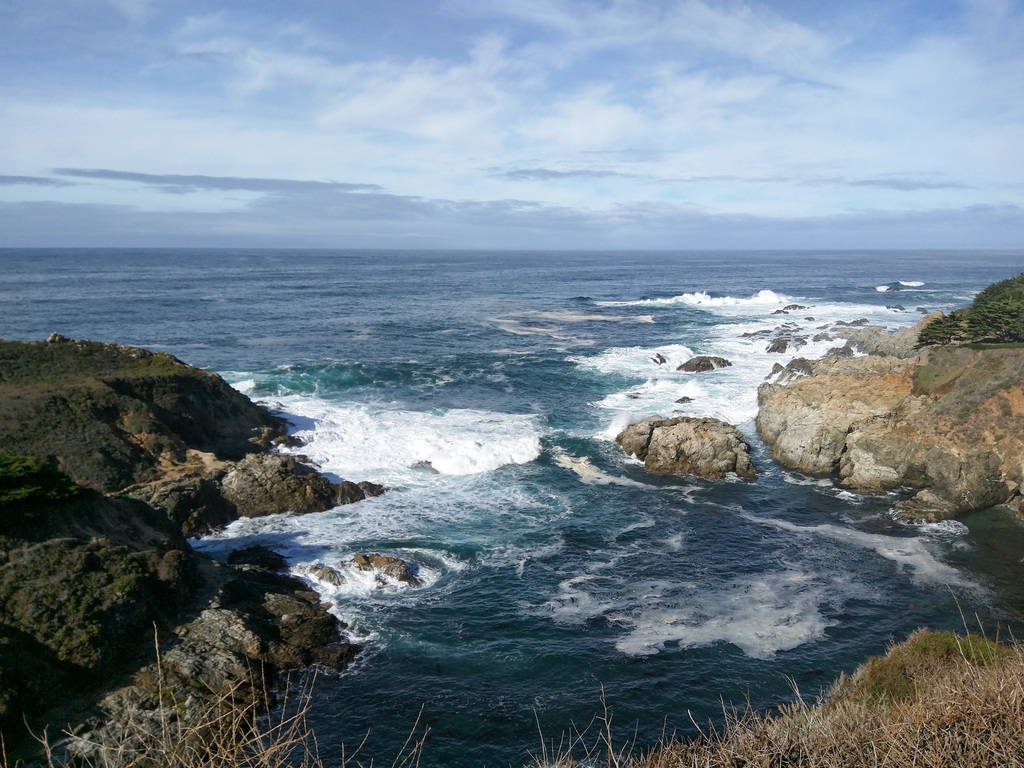 Pacific coast