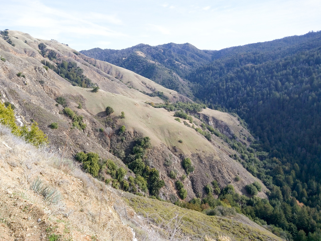 California hills