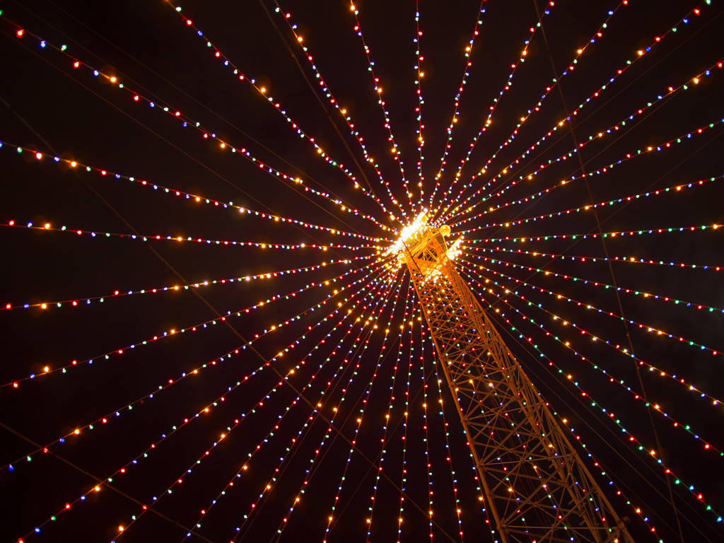 Zilker holiday tree