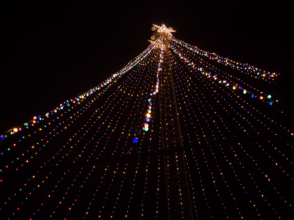 Zilker holiday tree