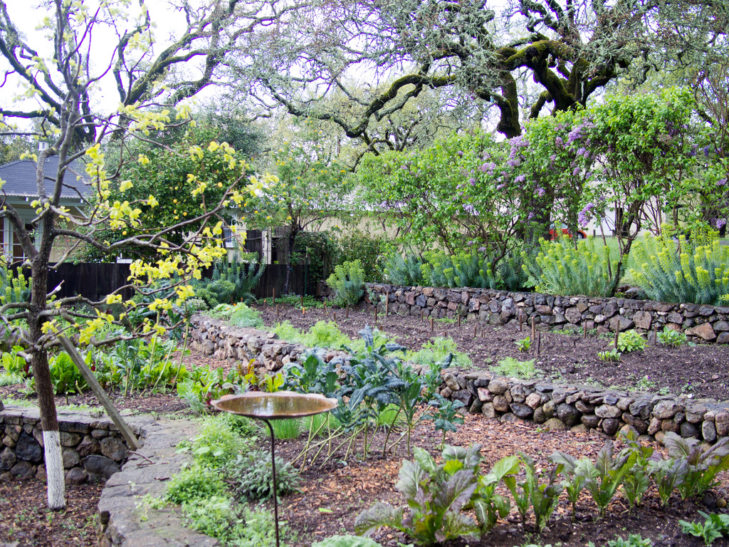Beltane Ranch