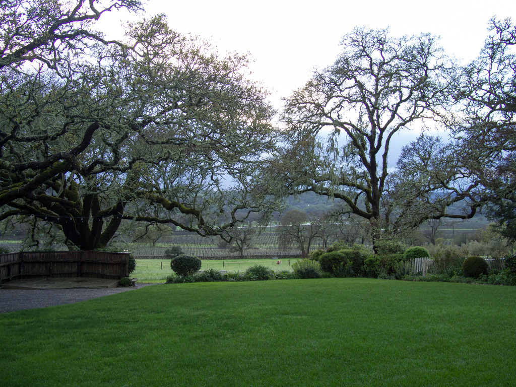 Beltane Ranch