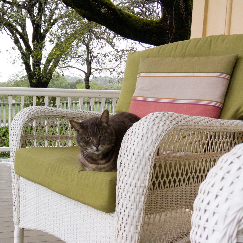 It's my porch