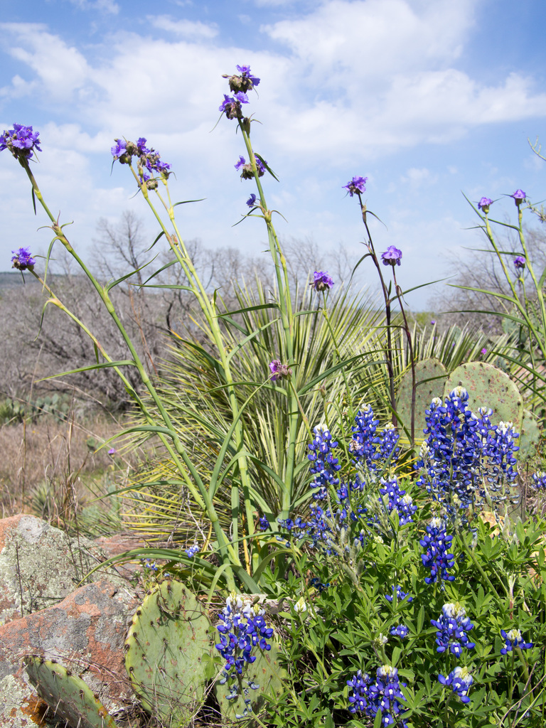 Hiking at Inks Lake State Park