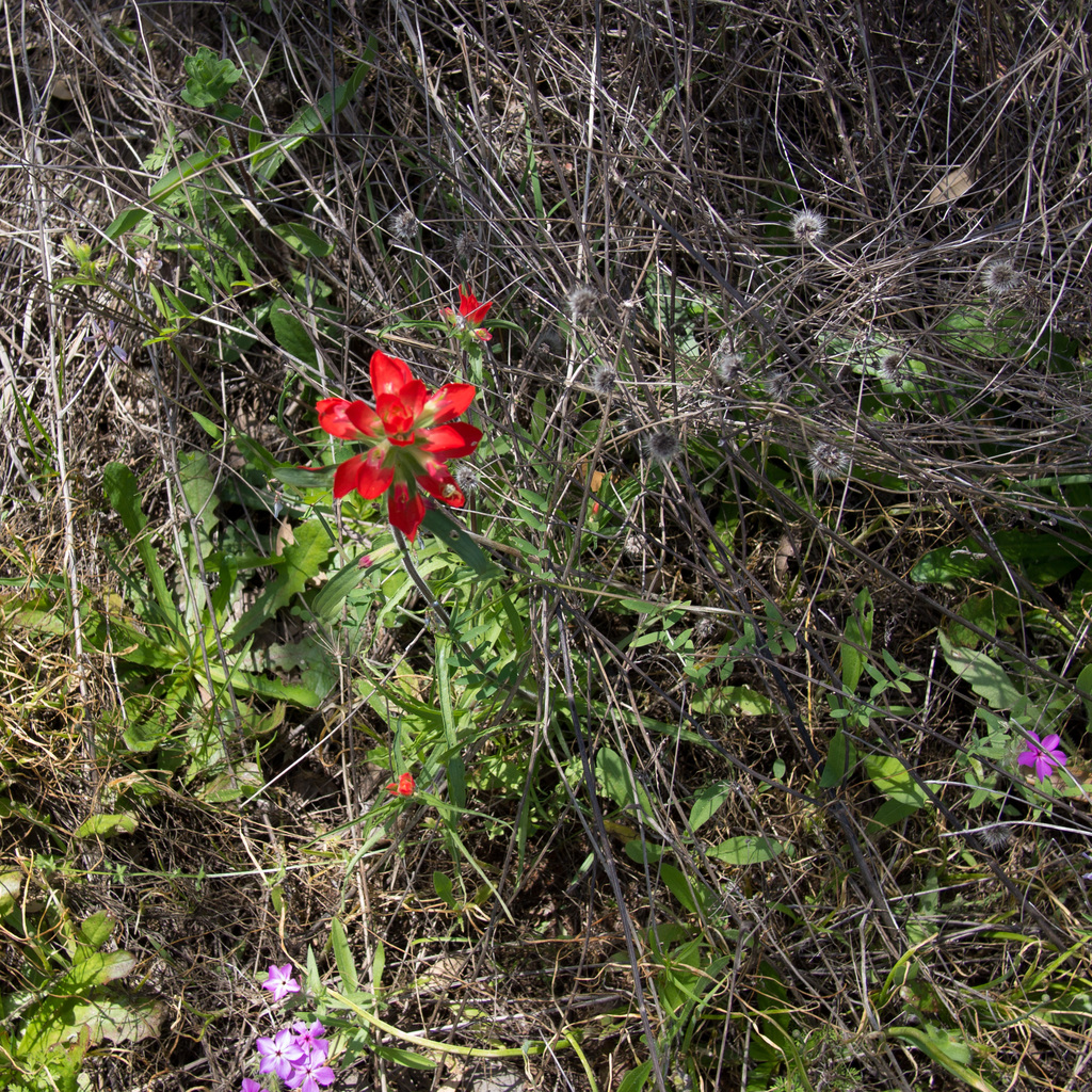 Hiking at Inks Lake State Park