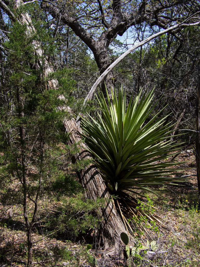 Hiking at Inks Lake State Park