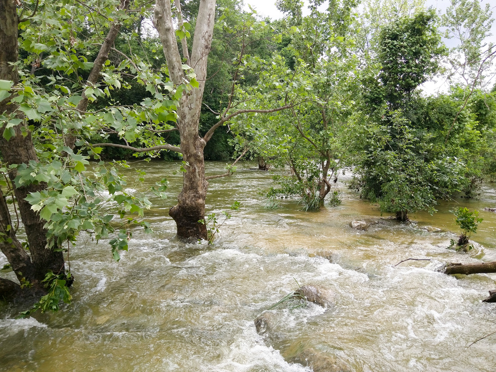 Barton Creek after the rain