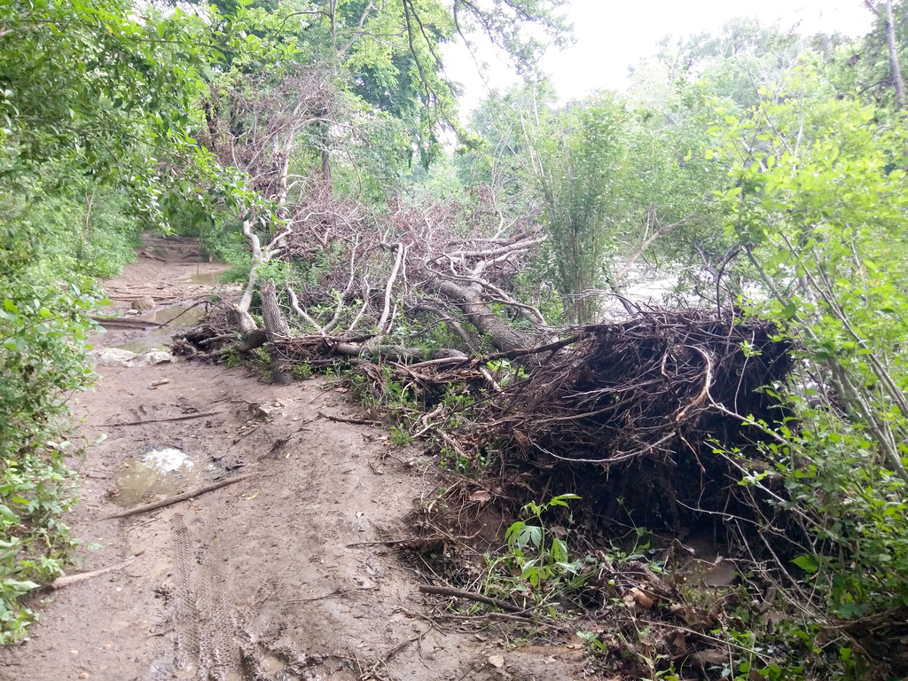 Barton Creek after the rain