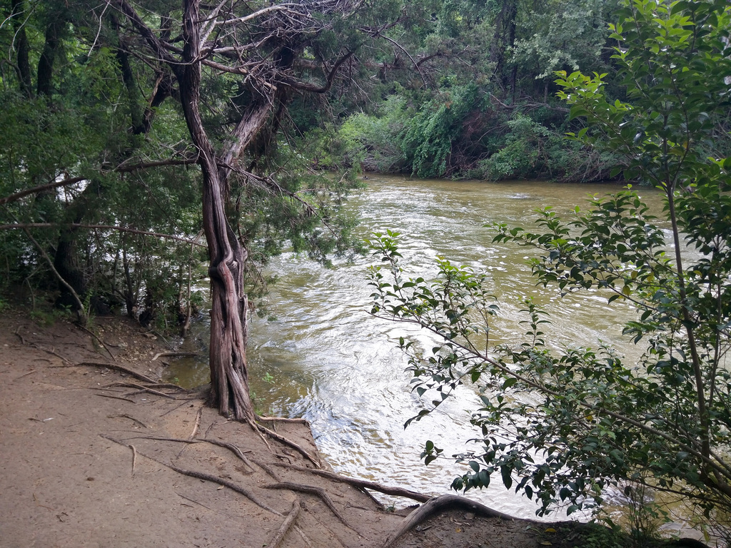 Barton Creek after the rain