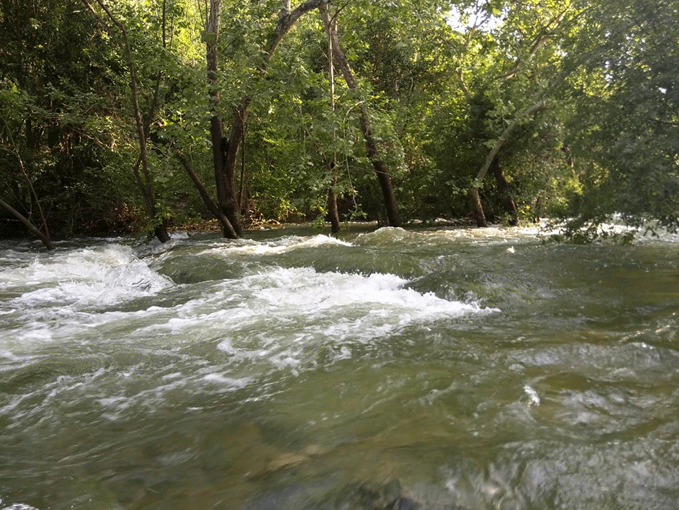 Barton Creek rapids