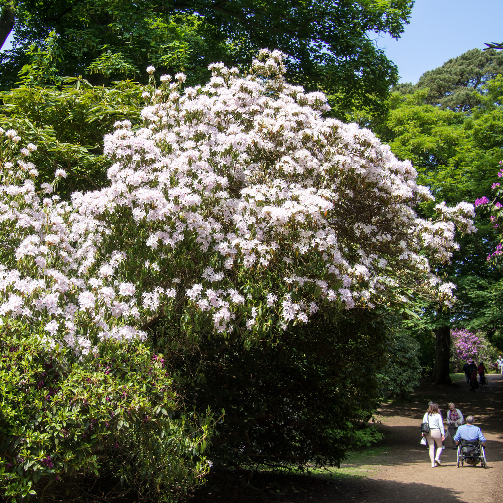 Sheringham Park