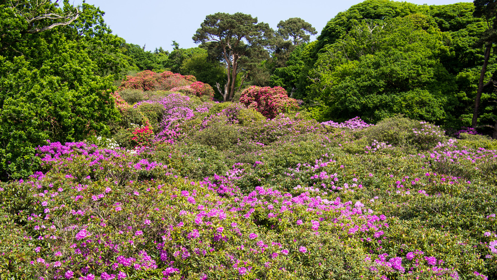 Sheringham Park