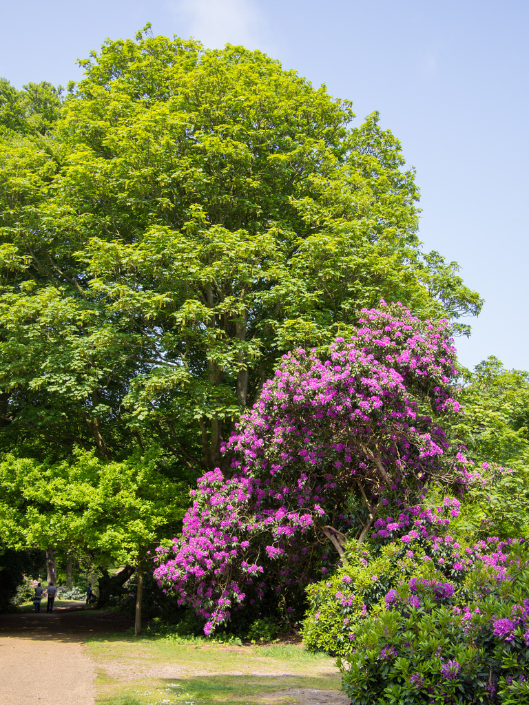 Sheringham Park