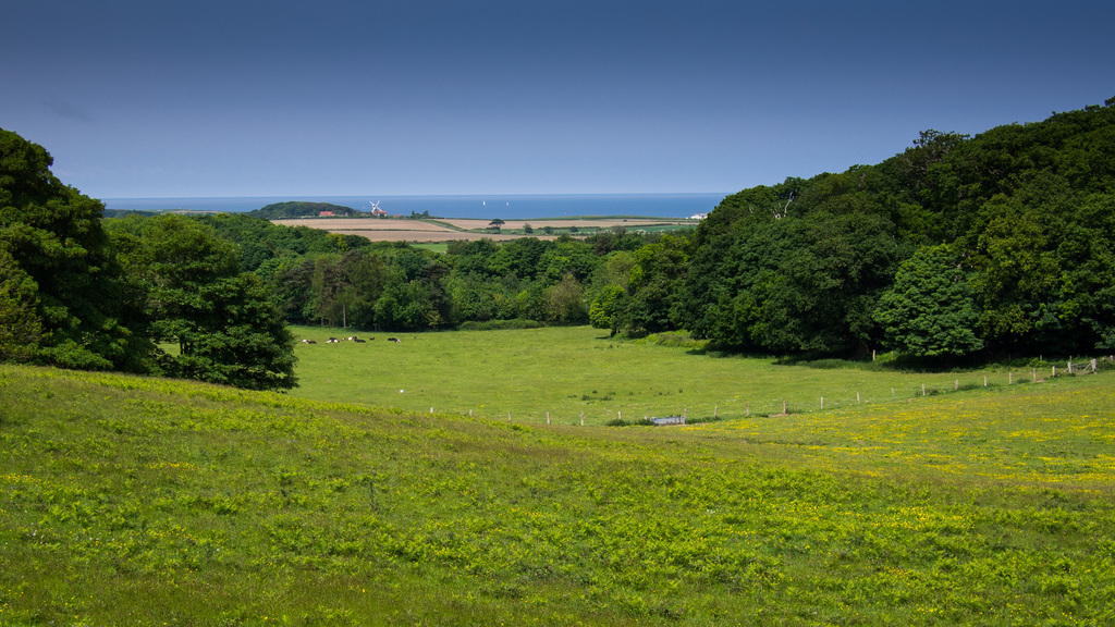 Sheringham Park