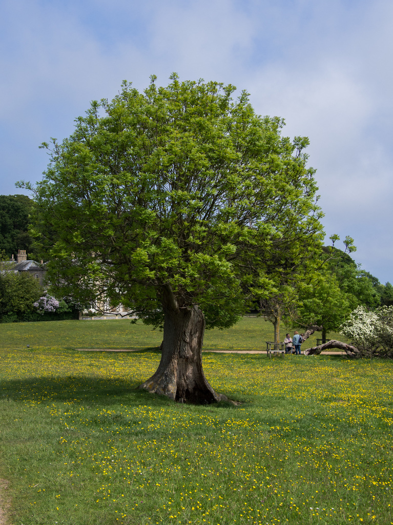 Sheringham Park